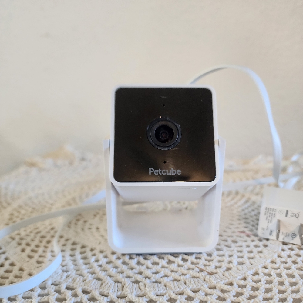 Petcube camera - Picture 4 of 5